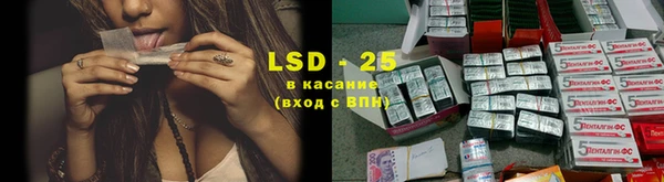 шишки Аркадак