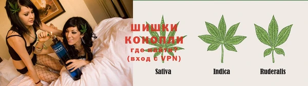 шишки Аркадак