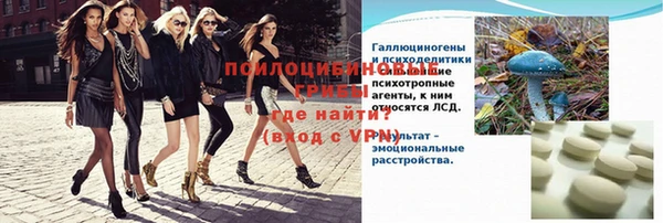 шишки Аркадак
