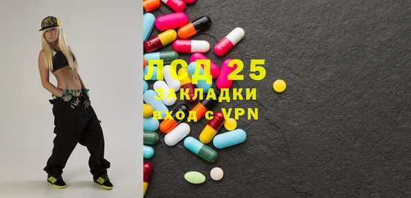 шишки Аркадак