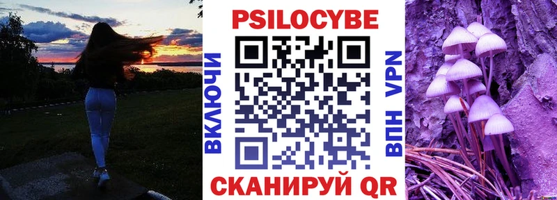 Псилоцибиновые грибы GOLDEN TEACHER  Купить закладки  Михайловка 